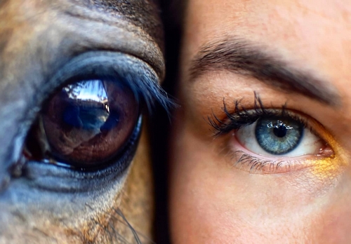 Crédit photo : Emily Mouries